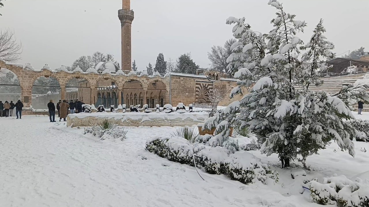 ŞANLIURFA’DA YOĞUN KAR YAĞIŞI NEDENİYLE KIRSALDA AÇ KALAN TİLKİ, ŞEHİR MERKEZİNDEKİ BALIKLIGÖL’DE...