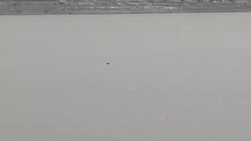 Sıhke Göleti'ne giren inek telef oldu