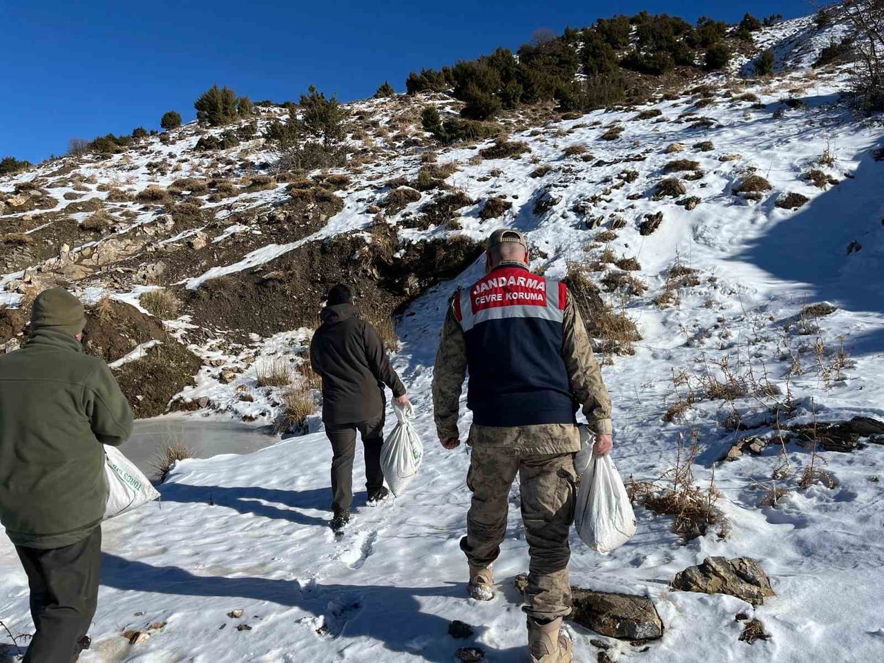 SİİRT DOĞA KORUMA VE MİLLİ PARK MÜDÜRLÜĞÜ İLE İL JANDARMA KOMUTANLIĞINA BAĞLI EKİPLER YABAN...