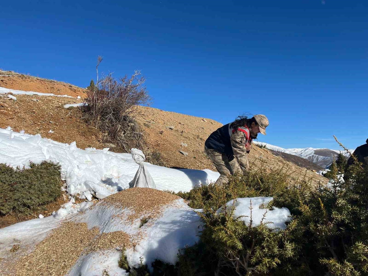 SİİRT DOĞA KORUMA VE MİLLİ PARK MÜDÜRLÜĞÜ İLE İL JANDARMA KOMUTANLIĞINA BAĞLI EKİPLER YABAN...