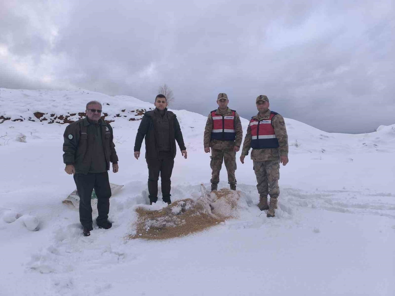 SİİRT‘TE YOĞUN KAR YAĞIŞININ OLDUĞU BÖLGELERE 750 KİLO BESİ YEMİ BIRAKILDI.