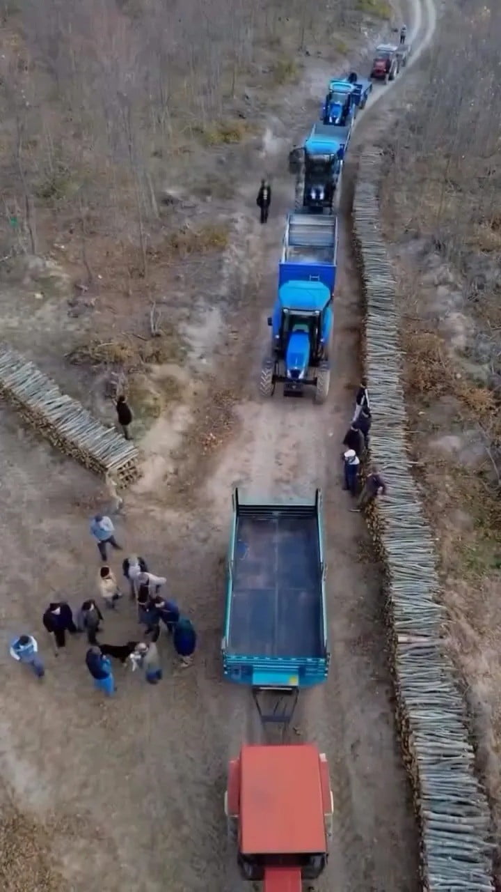 SİNOP'UN BOYABAT İLÇESİNDE KIŞ HAZIRLIKLARI KAPSAMINDA, ORMAN İŞLETME MÜDÜRLÜĞÜ TARAFINDAN...