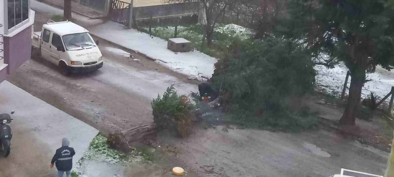 SİNOP'UN TÜRKELİ İLÇESİNDE ETKİLİ OLAN FIRTINA NEDENİYLE BİR AĞAÇ DEVRİLEREK YOLU...