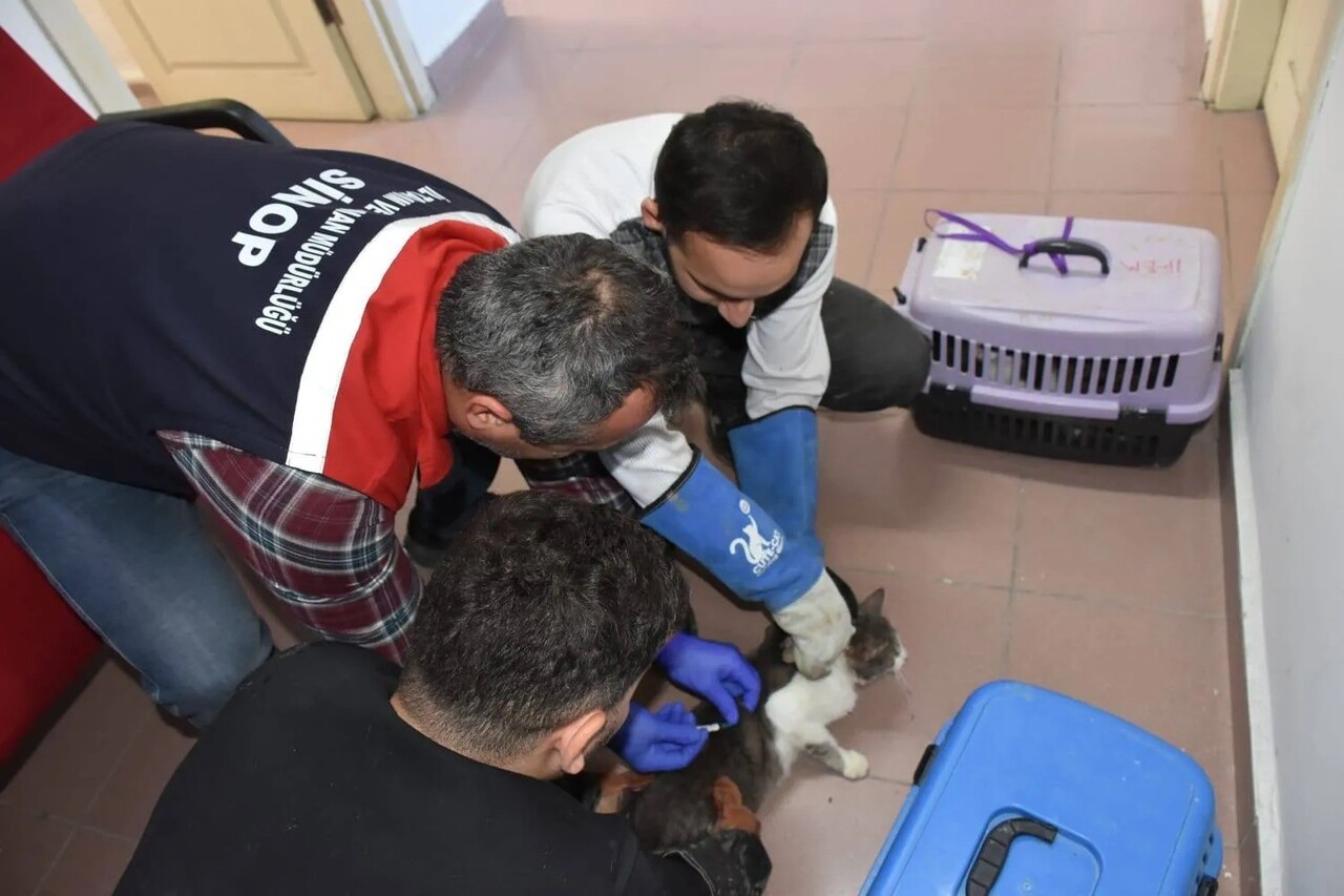 SİNOP’TA HAYVAN HAREKETLERİNİN TAKİBİ VE BULAŞICI HASTALIKLARIN KONTROLÜNÜN DAHA ETKİN SAĞLANMASI...