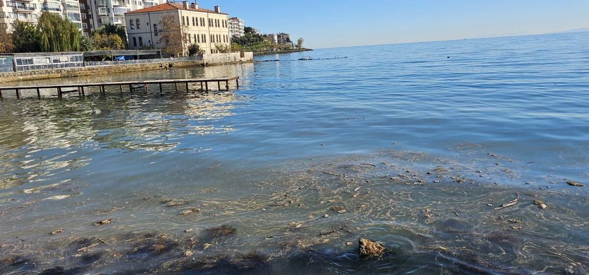 SİNOP’UN GÜNEY SAHİLİNDE DENİZDE GÖRÜLEN KİRLİLİK VATANDAŞLARI ENDİŞELENDİRDİ.