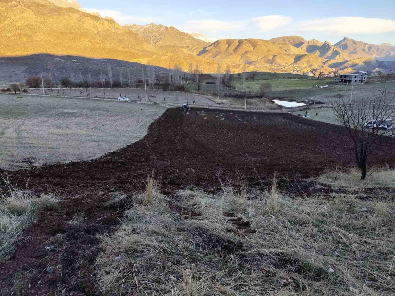 ŞIRNAK’TA KIŞ AYLARINDA ÇİFTÇİLER TARLALARINA KAR YAĞMADAN ARPA EKİYOR. YÜZLERCE TARLAYA BAHAR...