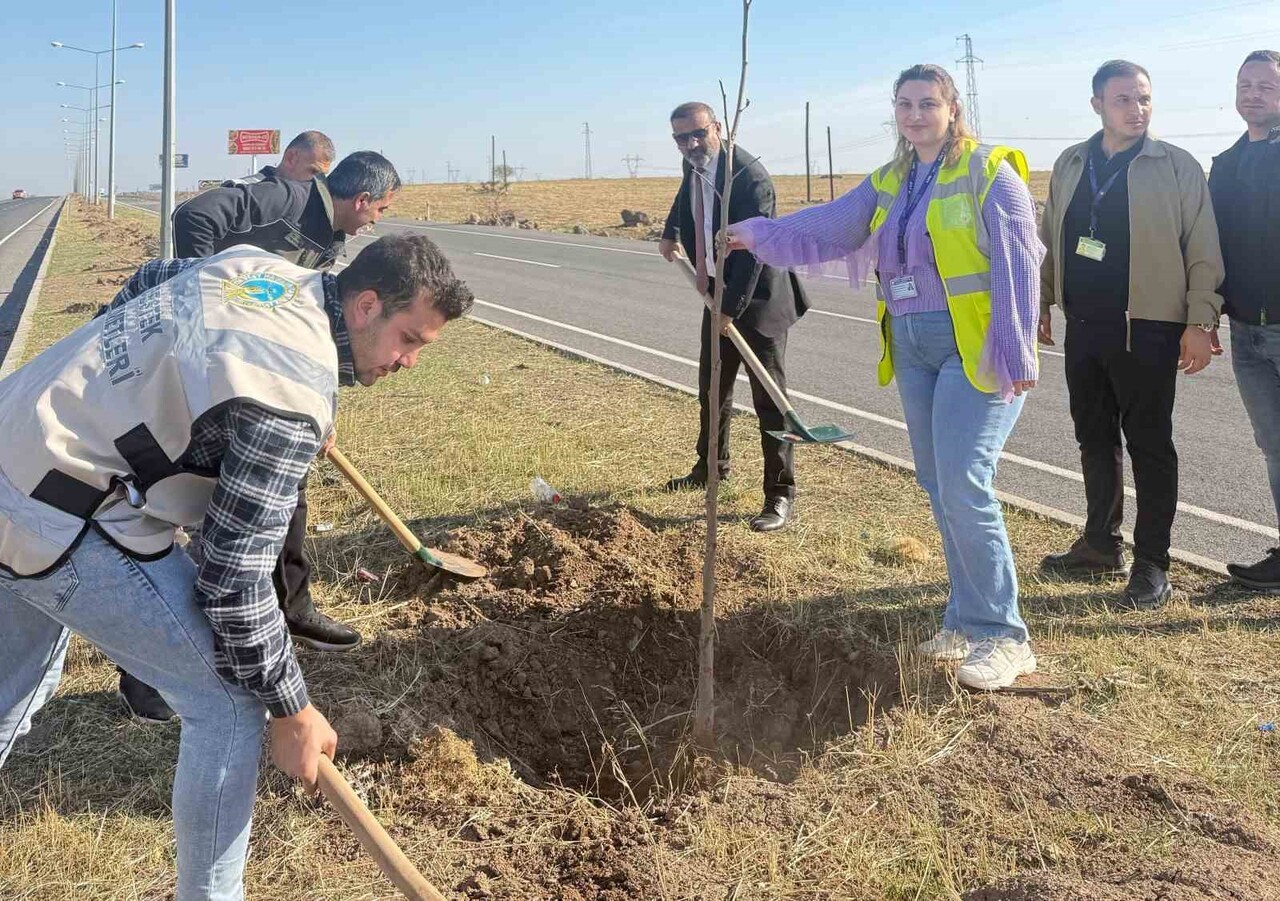 ŞIRNAK VALİLİĞİ İL ORMAN İŞLETME ŞEFLİĞİ KOORDİNESİNDE GERÇEKLEŞTİRİLEN ÇEVRE ETKİNLİĞİNDE...