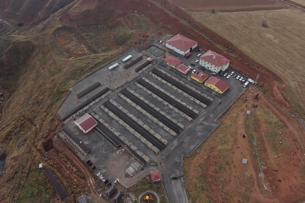 SİVAS BELEDİYESİ TARAFINDAN SAHİPSİZ SOKAK HAYVANLARININ KORUNMASI, BAKIMLARININ İYİLEŞTİRİLMESİ...