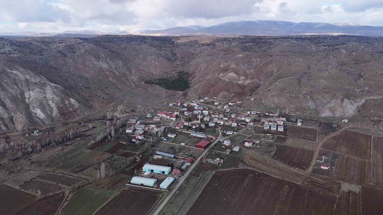 SİVAS’IN ÇUKURBELEN KÖYÜNDE YILLAR ÖNCE FİDAN DİKMEK İSTEYEN İKİ ARKADAŞ, YAKLAŞIK 3 BİN AĞACI...
