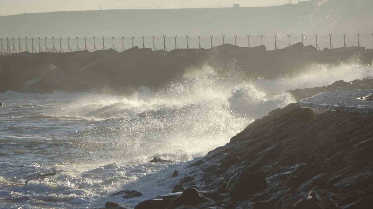SON GÜNLERDE HAVALARIN SOĞUMASIYLA BİRLİKTE BOL AVLANMASI BEKLENEN HAMSİ, KARADENİZ’DE ETKİLİ OLAN...