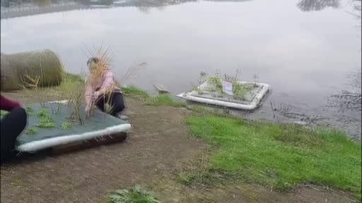 Su kirliliğini yüzen adacıklar temizleyecek