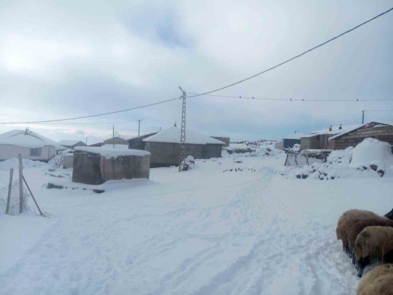 SÜPHAN DAĞI ETEĞİNDE BULUNAN KIŞKILI KÖYÜNDE ETKİLİ OLAN YOĞUN KAR YAĞIŞI, HAYVANCILIKLA GEÇİMİNİ...