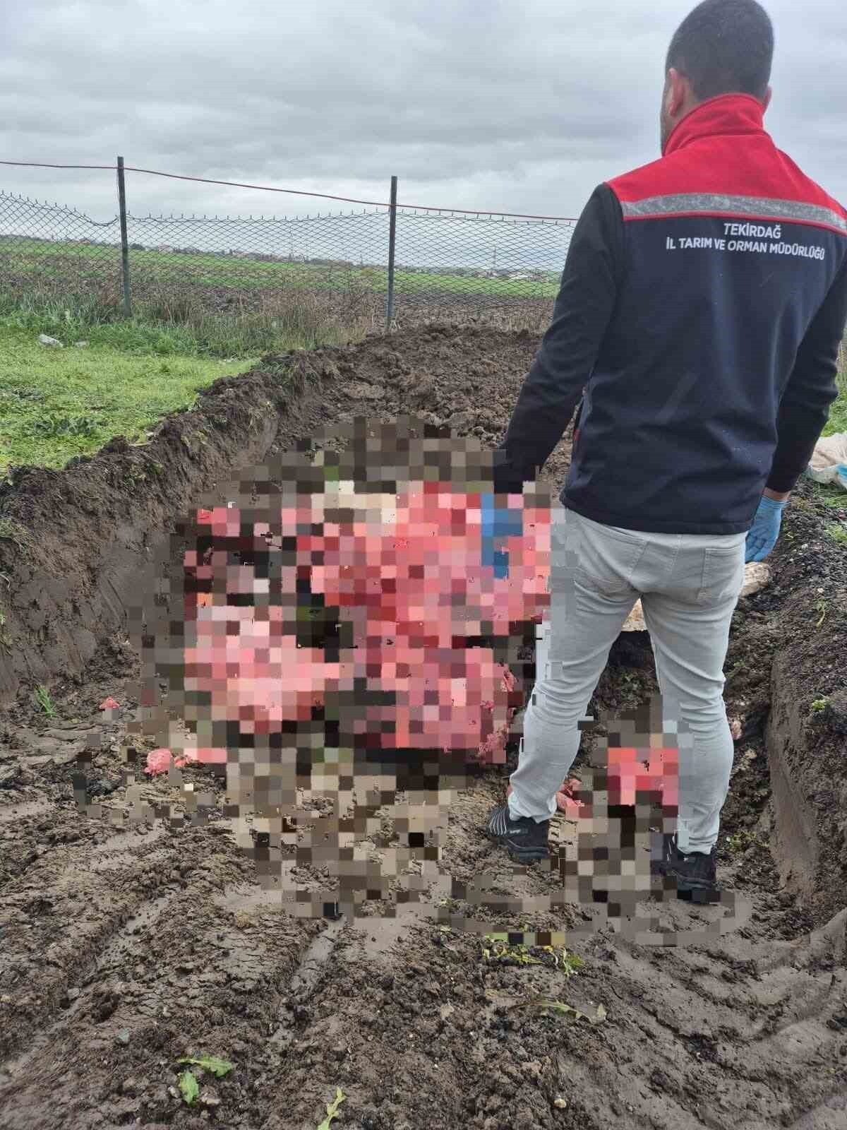 TEKİRDAĞ ERGENE’DE YOL KONTROLÜNDE ELE GEÇİRİLEN YAKLAŞIK 1 TON BELGESİZ VE MENŞEİ BELİRSİZ...