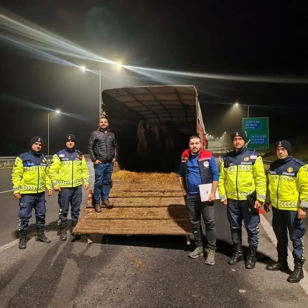 TEKİRDAĞ’IN MALKARA İLÇESİNDE OTOBAN JANDARMA KONTROL NOKTASINDA YAPILAN DENETİMLERDE, VETERİNER...