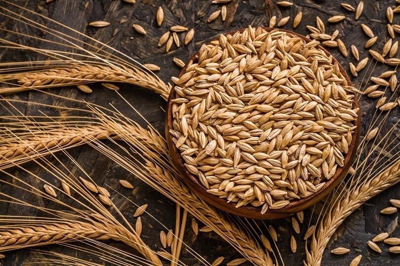 TOPRAK MAHSULLERİ OFİSİ (TMO), BURSA, KONYA, KAYSERİ, TEKİRDAĞ, DİYARBAKIR, ÇORUM VE SAKARYA GİBİ...