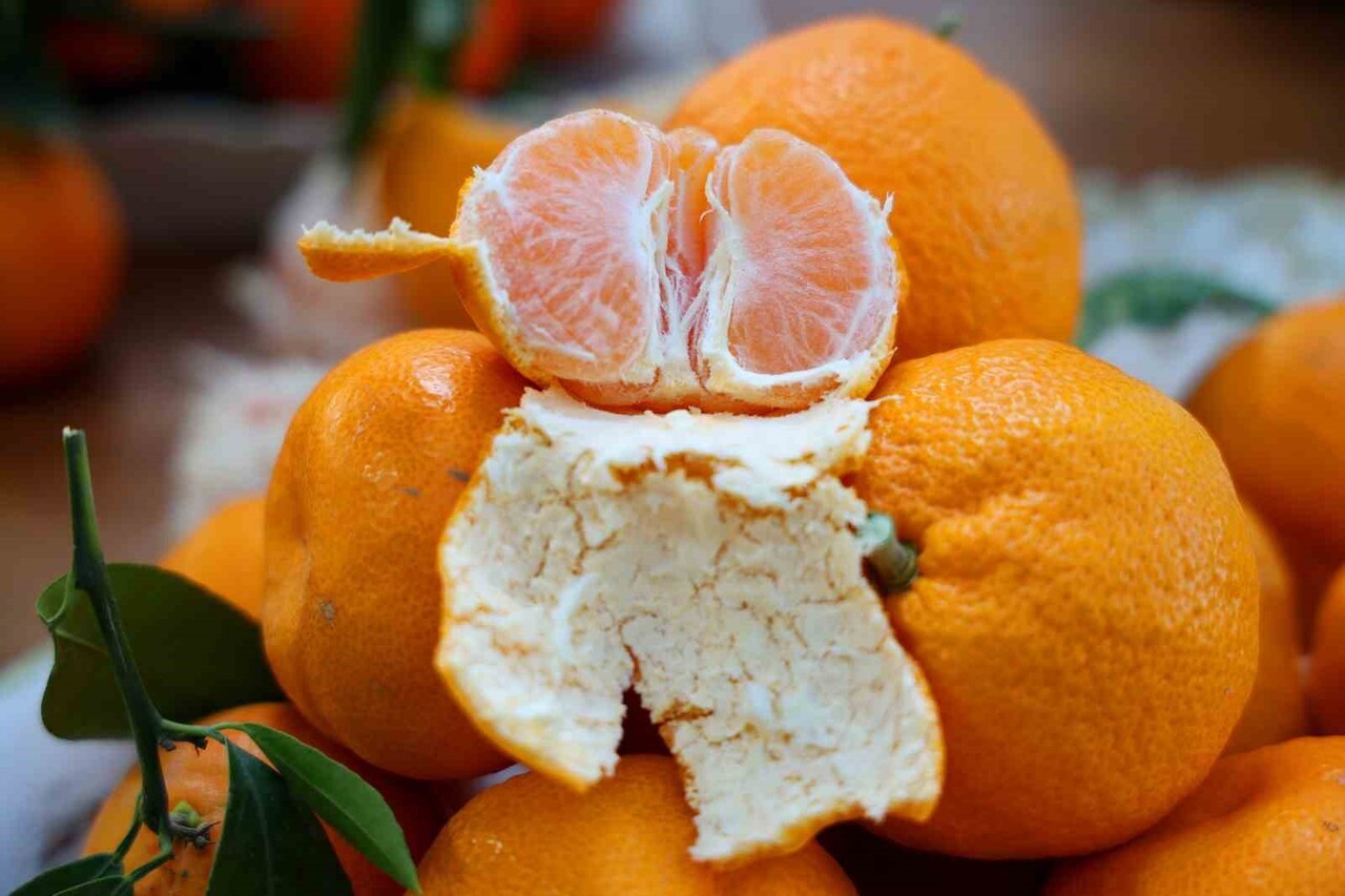 TÜRKİYE'NİN EN ÖNEMLİ NARENCİYE ÜRETİM MERKEZLERİNDEN ADANA'DA MANDALİNA DALINDA 3 LİRAYA, PAZARDA...