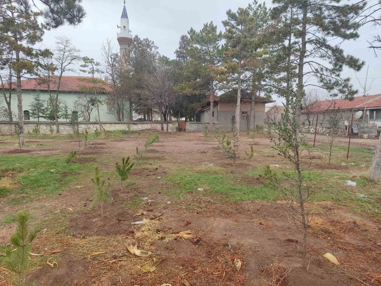 UMRANİYE KÖYLÜLERİ 300 ADET FİDANI OKUL BAHÇESİNE VE CAMİİ BAHÇESİNE DİKTİLER