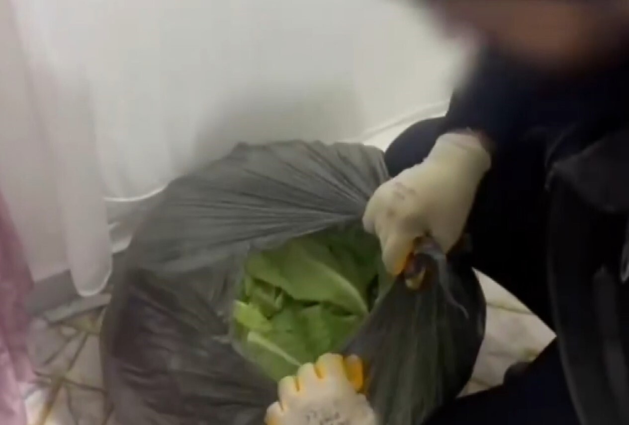 UYUŞTURUCU MADDELER POŞETLERİN İÇERİSİNDEKİ MARULLARIN ALTINA SAKLANMIŞ HALDE BULUNDU