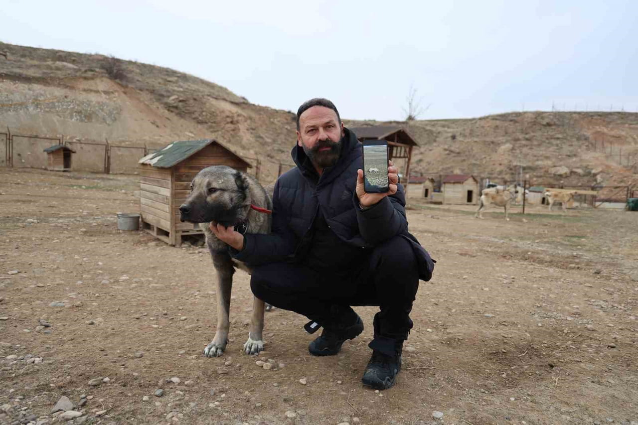UZMAN KANGAL KÖPEĞİ YETİŞTİRİCİSİ HÜSEYİN YILDIZ, KURTLARDAN KORUNMAK İÇİN ÇARE OLARAK KANGALLARI...