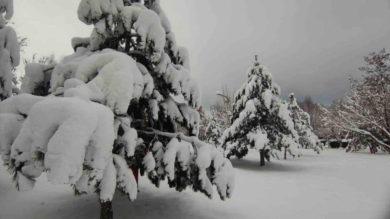 VAN’DA ETKİLİ OLAN KAR YAĞIŞI KENTİ BEYAZA BÜRÜRKEN ORTAYA KARTPOSTALLIK GÖRÜNTÜLER ÇIKARDI....