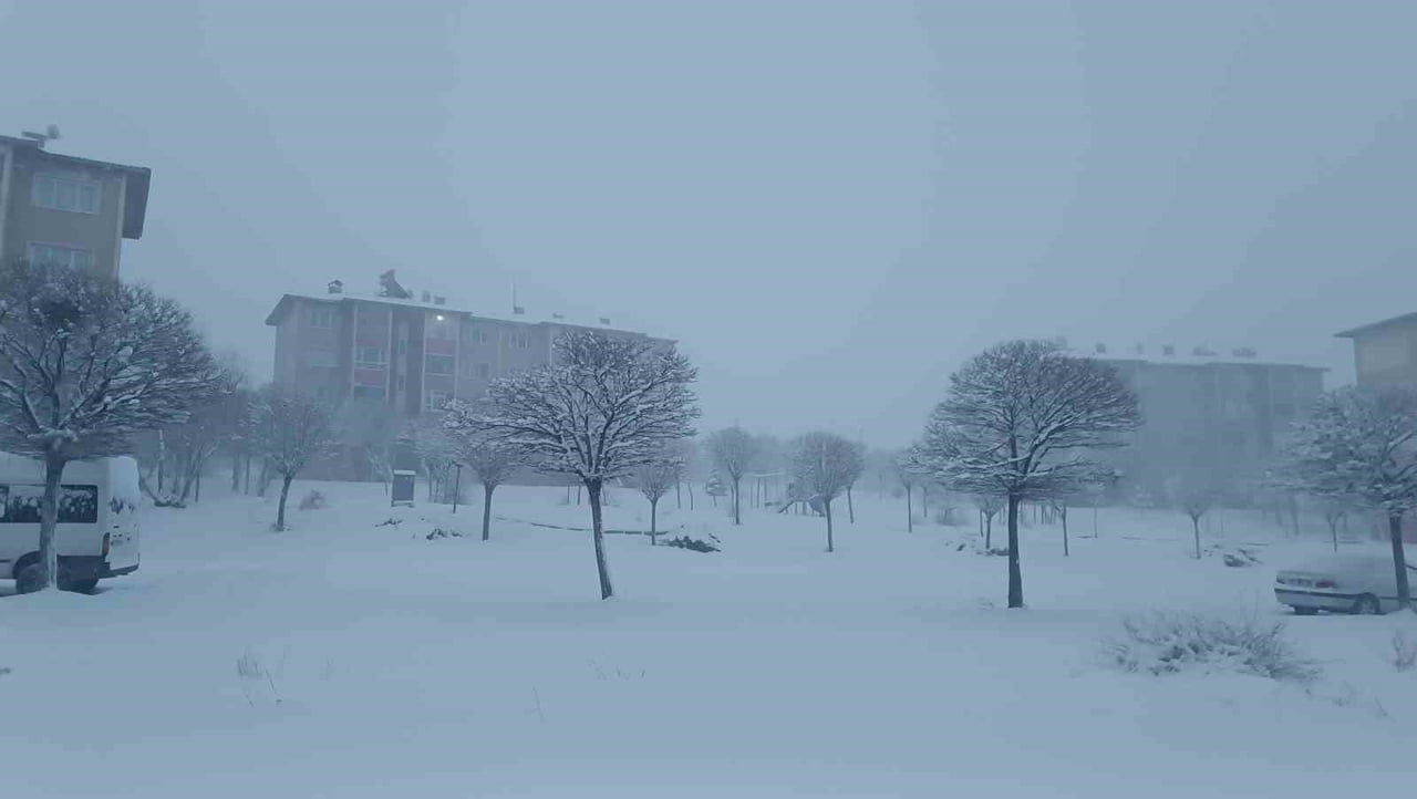 VAN’DA ETKİLİ OLAN KAR YAĞIŞI NEDENİYLE 569 YERLEŞİM YERİNİN YOLU ULAŞIMA KAPANIRKEN, UÇAK...