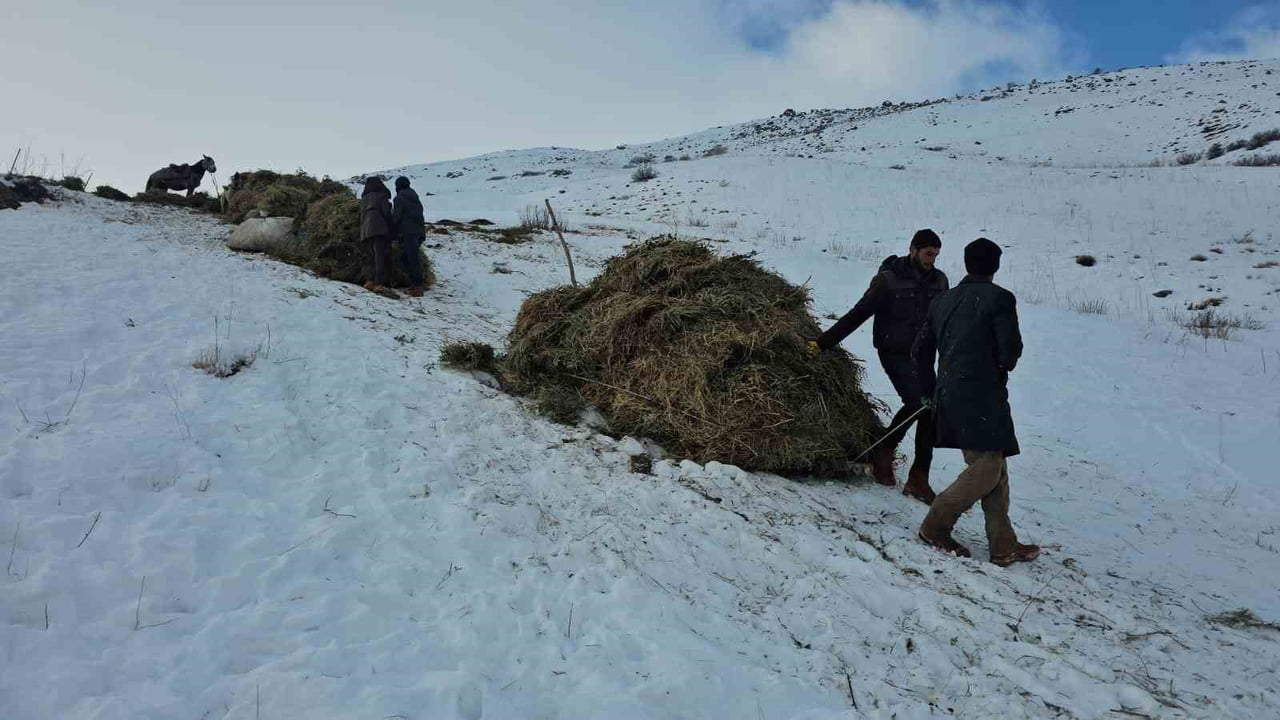 VAN’IN ERCİŞ İLÇESİNDE YAZ AYLARINDA BİÇİLEN OTLAR, ARAÇLARIN ULAŞAMADIĞI ENGEBELİ ARAZİDEN KIŞIN...
