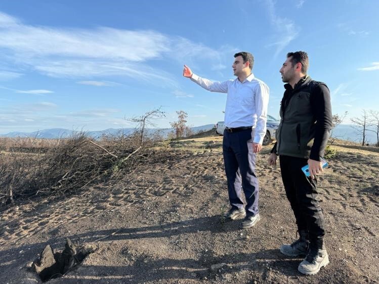 YANGIN ALANLARI YEŞİLE BÜRÜNÜYOR