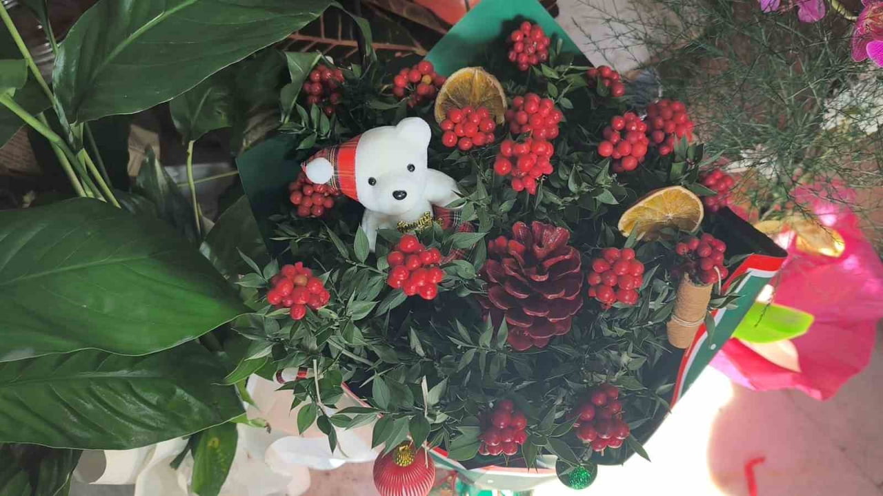 YENİ YILA SAYILI GÜNLER KALA MUĞLA SOKAKLARINI RENKLENDİREN KOKİNA ÇİÇEĞİ VATANDAŞLARDAN YOĞUN...