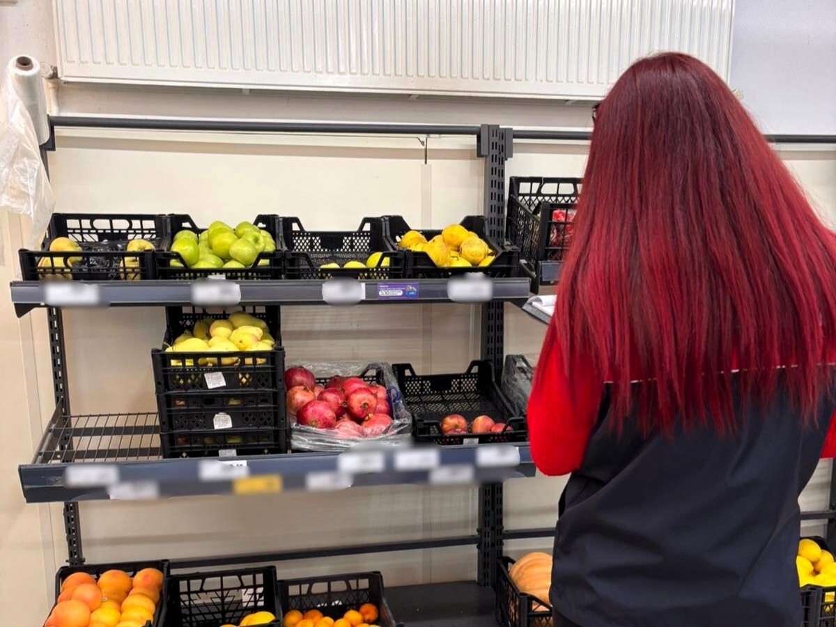 ZİNCİR MARKETLER DENETLENEREK, TOPLANAN VERİLERİN SİSTEME GİRİŞİ YAPILDI.