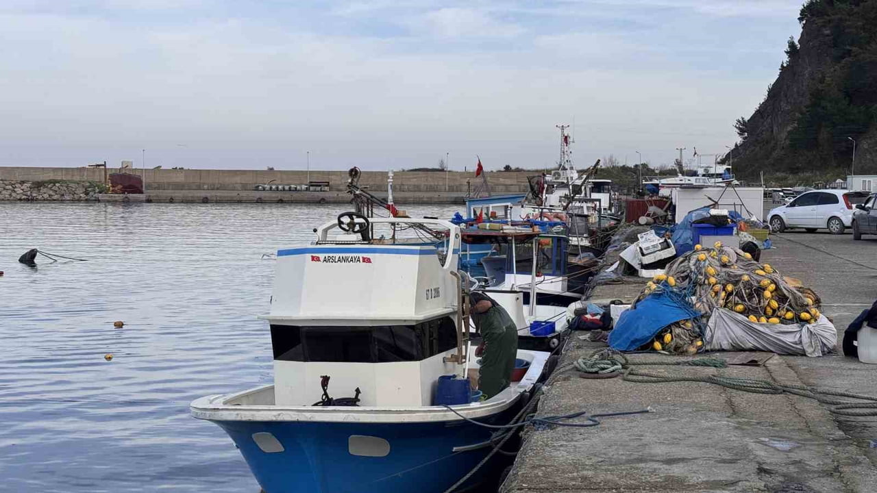 ZONGULDAK'TA HAMSİ YOĞUNLUĞU YAŞANDI, PALAMUT ÇIKMADI