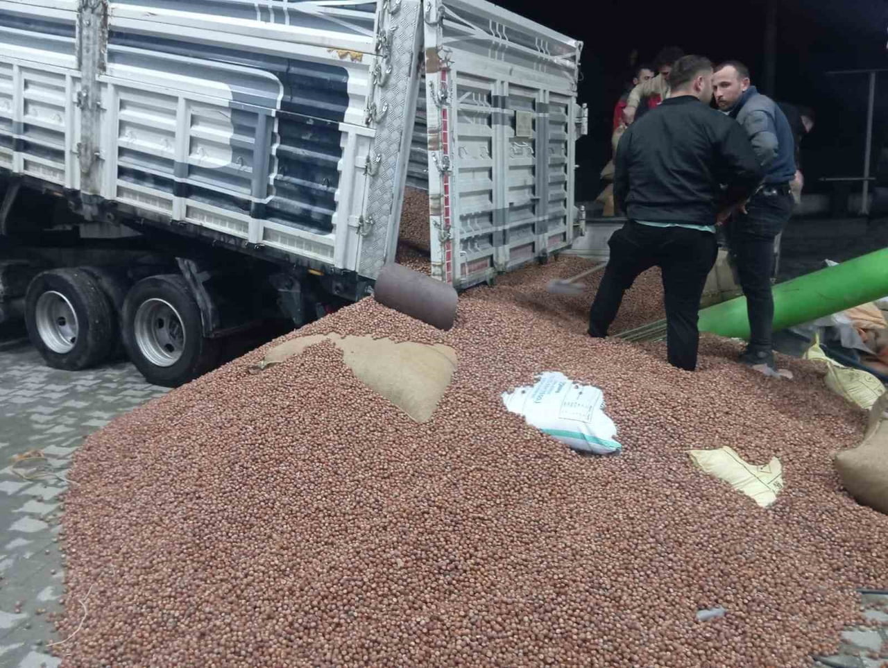 ZONGULDAK (İHA) - YILBAŞININ YAKLAŞMASIYLA BİRLİKTE ZONGULDAK'IN ALAPLI’DA SERBEST PİYASADA FINDIK...