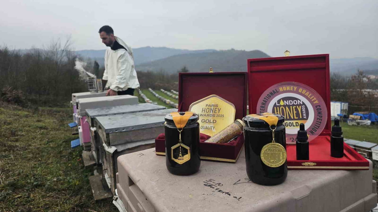 ZONGULDAK KESTANE BALI, ÖNCE LONDRA'DA ARDINDAN PARİS'TE DÜZENLENEN ULUSLARARASI YARIŞMALARDA İKİ...