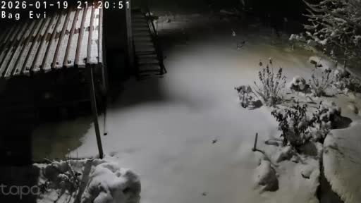 Aç kalan kaya sansarı evlerin dibine kadar indi