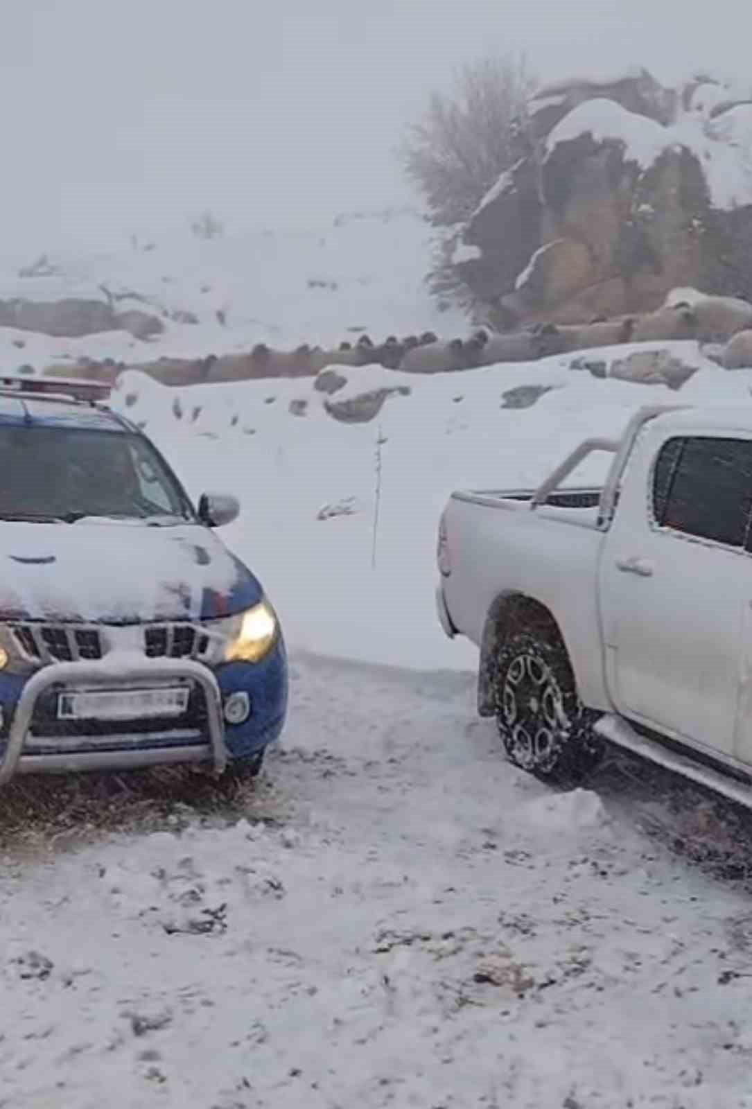 ADIYAMAN’DA DAĞDA MAHSUR KALAN 2 ÇOBAN VE 800 ADET KOYUN JANDARMA, TARIM VE ORMAN MÜDÜRLÜĞÜ...