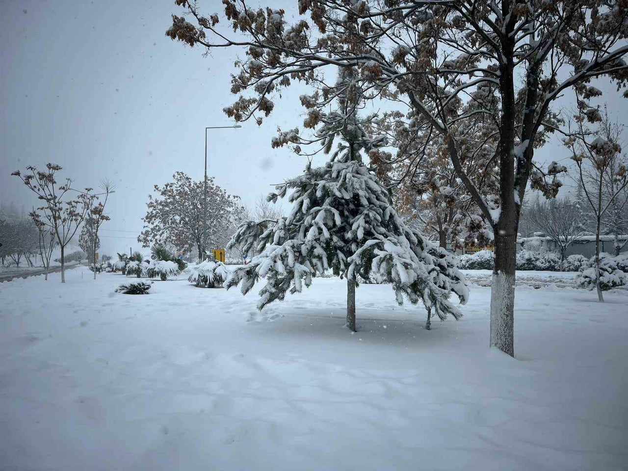 ADIYAMAN’IN BESNİ İLÇESİNDE İKİ GÜNDÜR ETKİSİNİ SÜRDÜREN KAR YAĞIŞI, İLÇE GENELİNDE KARTPOSTALLIK...