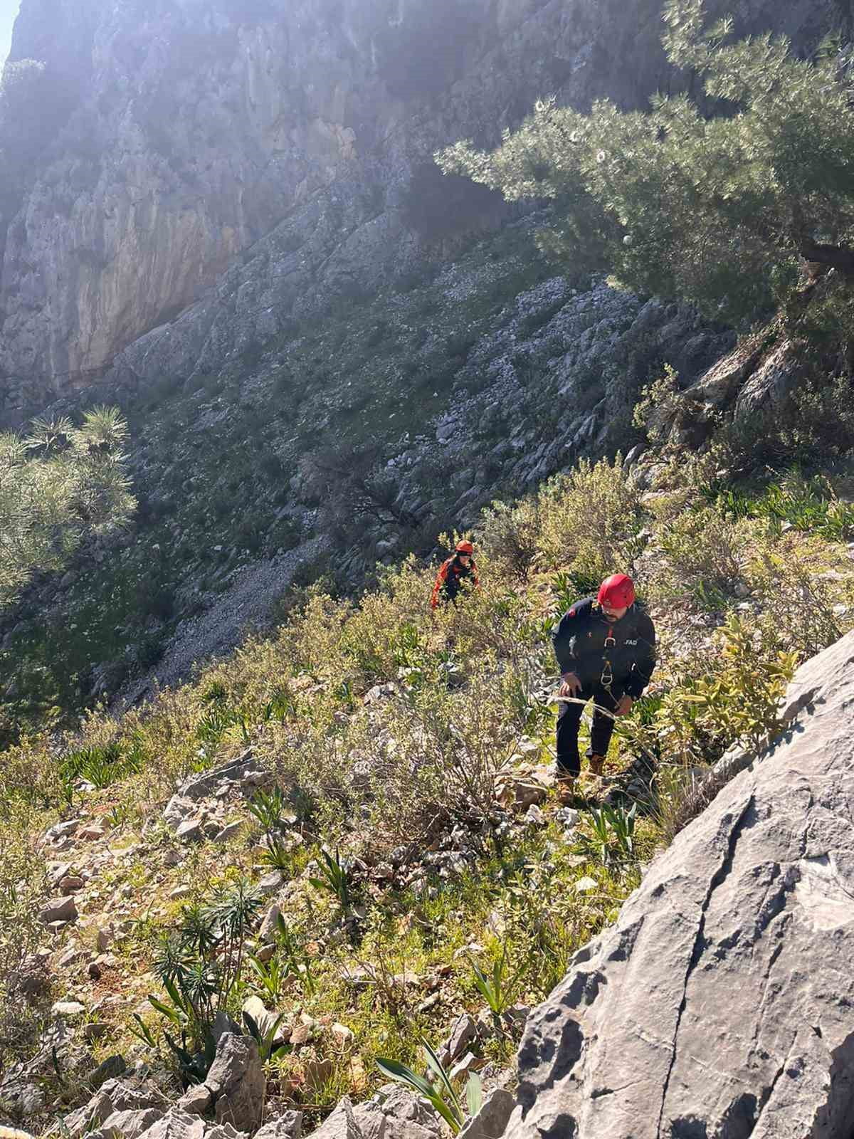 AFAD’DAN KEÇİ KURTARMA OPERASYONU