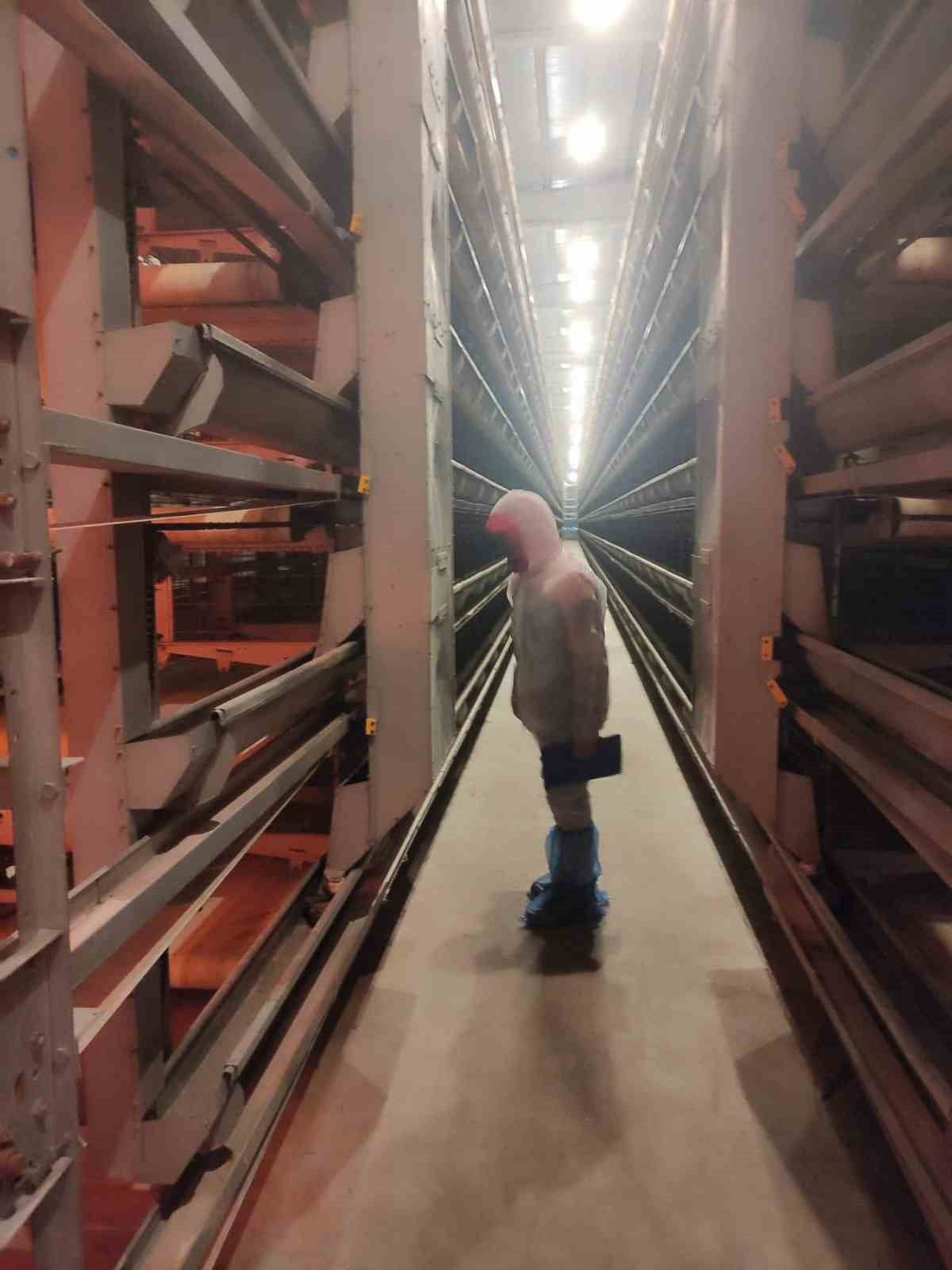 AFYONKARAHİSAR’IN BOLVADİN İLÇESİNDEKİ KANATLI HAYVAN VE YUMURTA ÜRETİM İŞLETMELERİNE YÖNELİK...