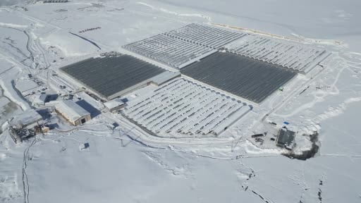 Ağrı'da jeotermal serada üretilen ürünler Avrupa pazarına açılıyor