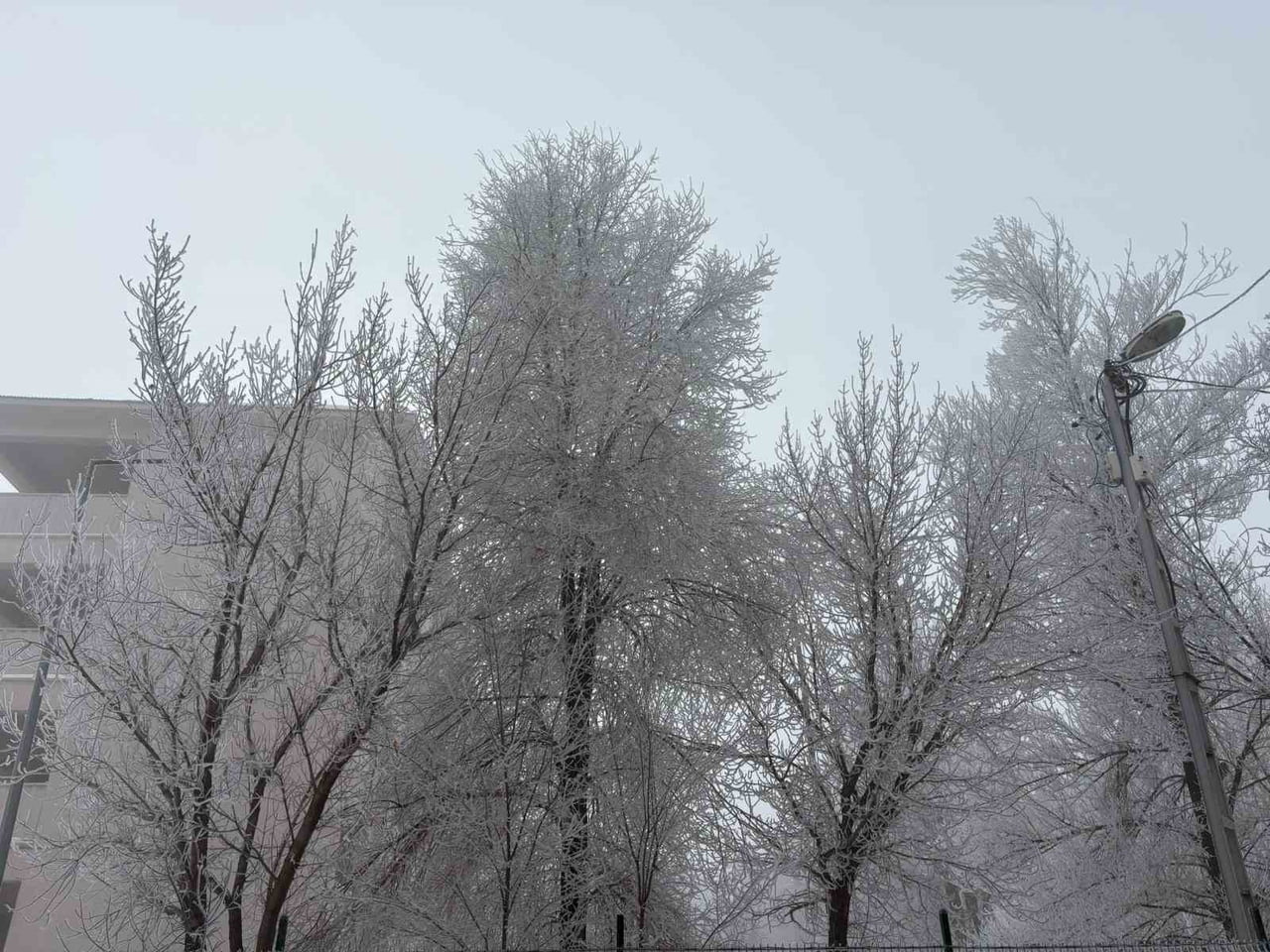 AĞRI'NIN DİYADİN İLÇESİNDE SABAH SAATLERİNDE ETKİLİ OLAN YOĞUN SİS, GÜNLÜK YAŞAMI OLUMSUZ...