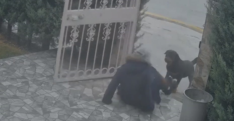 ANKARA’DA SAHİPSİZ KÖPEKLERİN SALDIRISINA UĞRAYAN KADIN, KOMŞUSUNUN DURUMA MÜDAHALE ETMESİYLE...