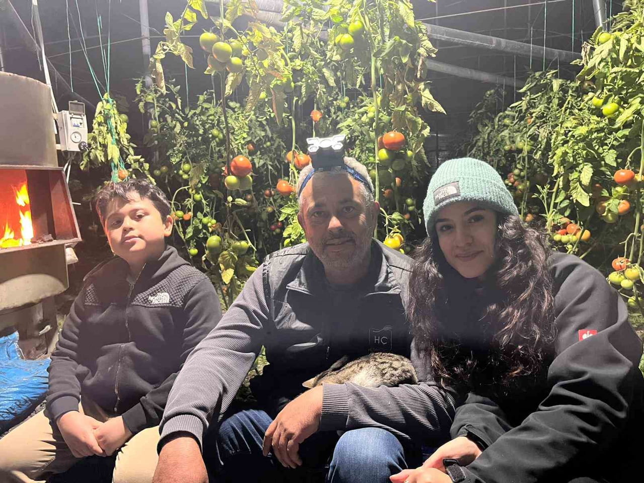 ANTALYA'NIN SERİK İLÇESİNDE GECE SAATLERİNDE HAVA SICAKLIĞI 0 DERECENİN ALTINA DÜŞMEMESİ İÇİN ÖRTÜ...