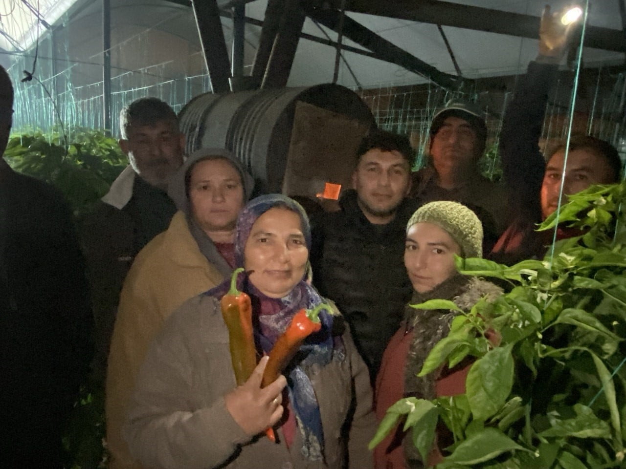 ANTALYA’DA HAVA SICAKLIKLARININ GECE SAATLERİNDE DÜŞMESİYLE BİRLİKTE ÜRETİCİLER, ÜRÜNLERİNİ DONDAN...