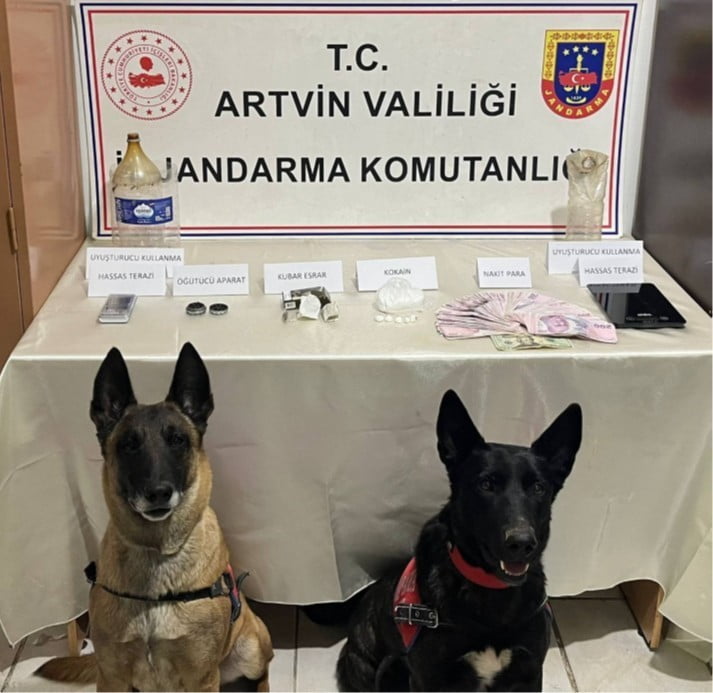 ARTVİN İL JANDARMA KOMUTANLIĞI EKİPLERİNCE, UYUŞTURUCU MADDE İMAL VE TİCARETİNİN ÖNLENMESİNE...