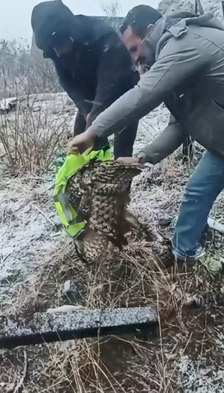 ARTVİN’İN ARDANUÇ İLÇESİNDE TELLERE TAKILAN BAYKUŞ, İL ÖZEL İDARESİ EKİPLERİNİN MÜDAHALESİYLE...