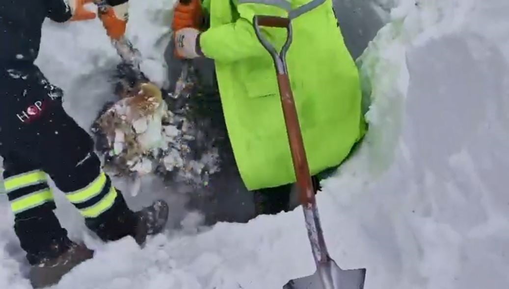 ARTVİN’İN ARDANUÇ İLÇESİNE BAĞLI ZEKERİYA KÖYÜNDE DÜN SABAH SAATLERİNDE MEYDANA GELEN ÇIĞ...