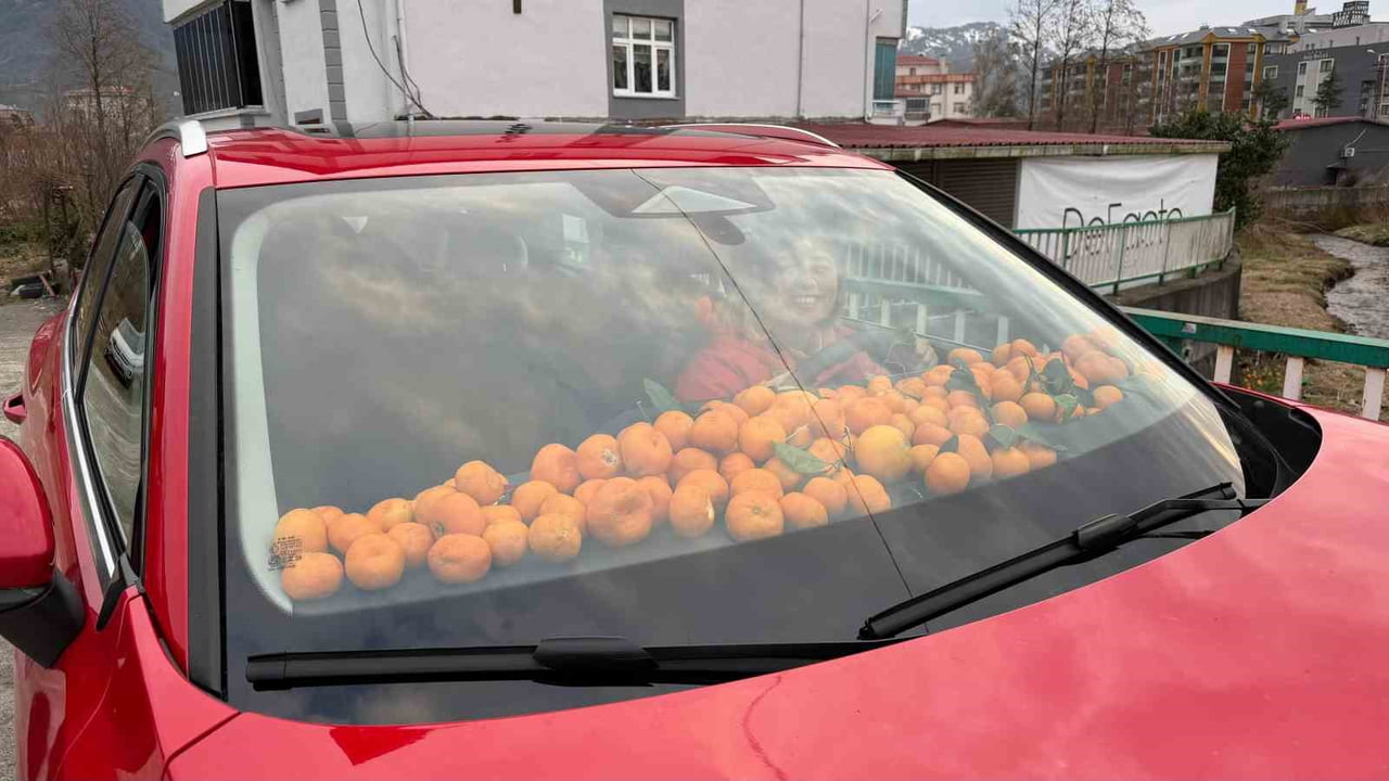 ARTVİN’İN KEMALPAŞA İLÇESİNDE BEREKETLİ GEÇEN MANDALİNA HASADINDA POŞETLERİN YETERSİZ KALMASIYLA...