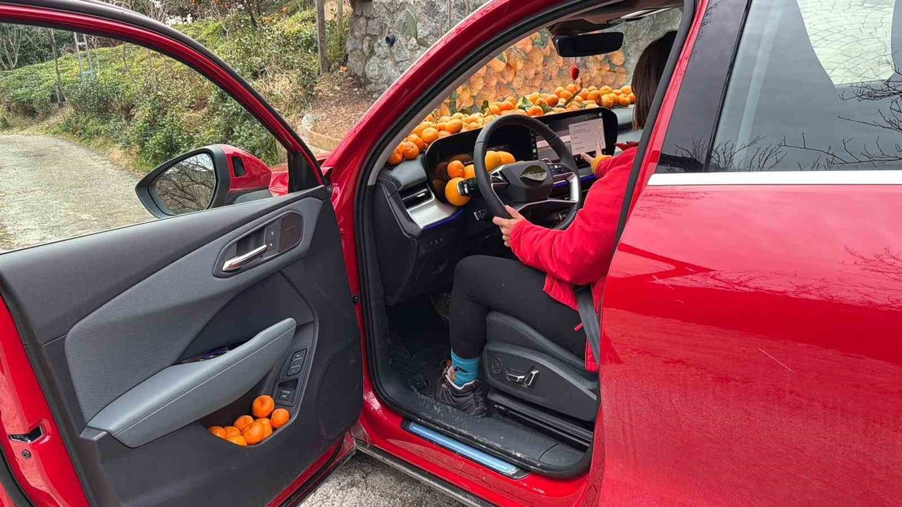 ARTVİN’İN KEMALPAŞA İLÇESİNDE BEREKETLİ GEÇEN MANDALİNA HASADINDA POŞETLERİN YETERSİZ KALMASIYLA...