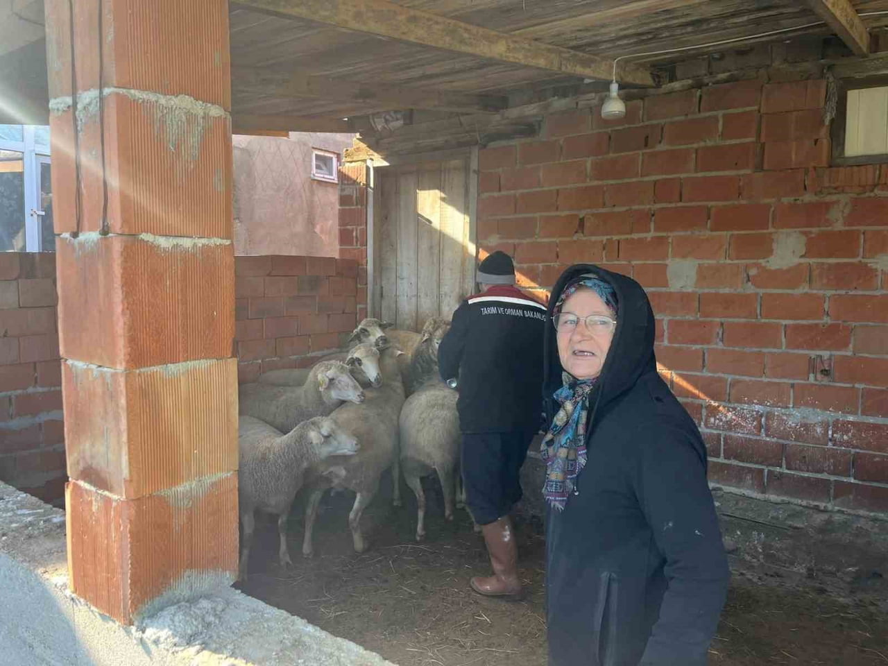 AŞI SIRASINDA YENİ DOĞAN KUZU SEVİNDİRDİ