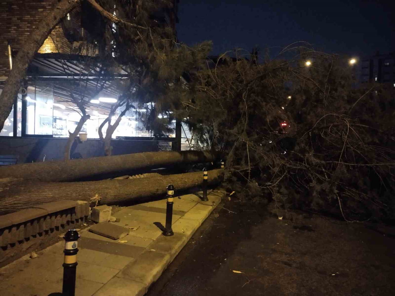 ATAŞEHİR’DE FIRTINA NEDENİYLE AĞAÇ DEVRİLDİ