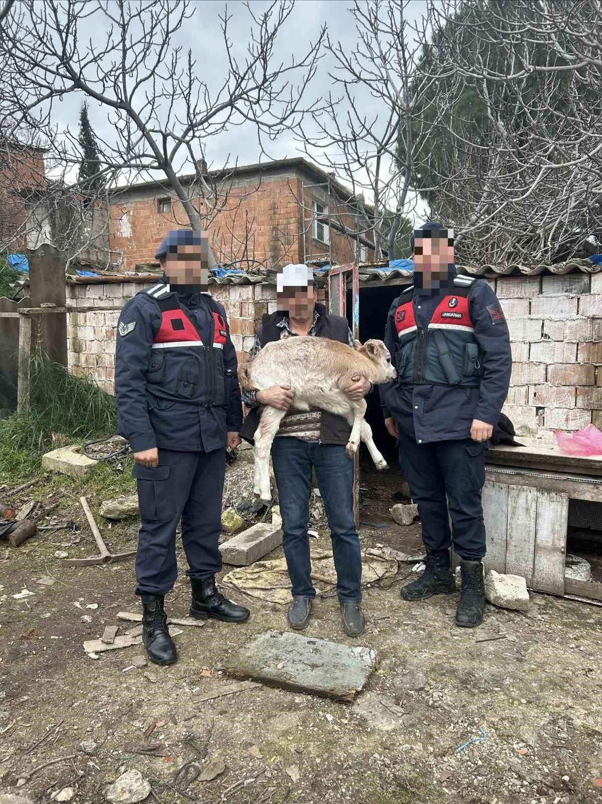 AYDIN'IN SÖKE İLÇESİNDE JANDARMA EKİPLERİNCE YAPILAN OPERASYONLARDA 1 ŞÜPHELİ YAKALANDI.